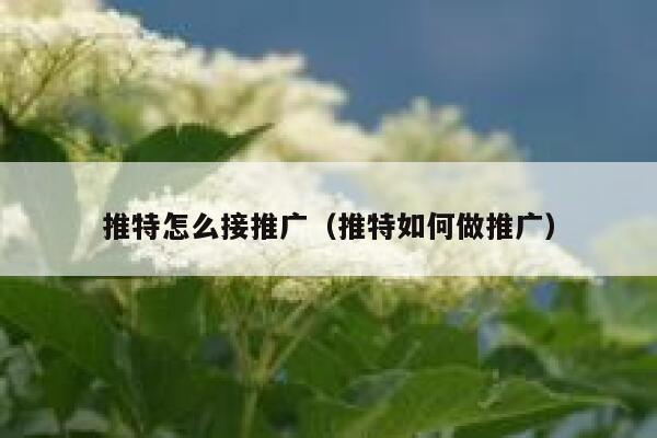 推特怎么接推广（推特如何做推广） 第1张