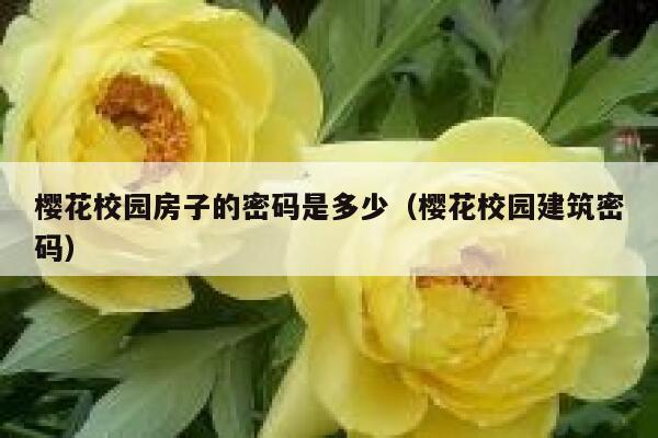 樱花校园房子的密码是多少（樱花校园建筑密码） 第1张