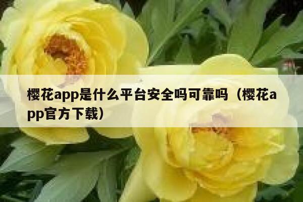 樱花app是什么平台安全吗可靠吗（樱花app官方下载） 第1张
