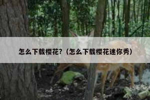 怎么下载樱花?（怎么下载樱花迷你秀） 第1张