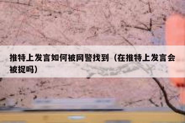 推特上发言如何被网警找到（在推特上发言会被捉吗） 第1张