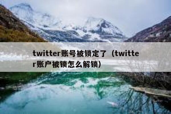 twitter账号被锁定了（twitter账户被锁怎么解锁） 第1张