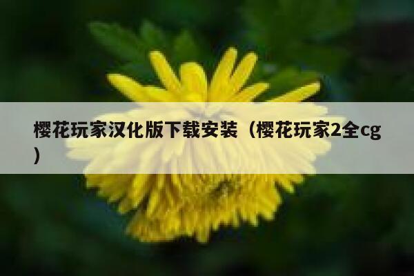 樱花玩家汉化版下载安装(樱花玩家2全cg) 第1张 樱花玩家汉化版下载安装(樱花玩家2全cg) 第1张