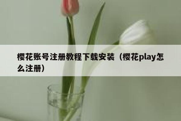 樱花账号注册教程下载安装(樱花play怎么注册) 第1张 樱花账号注册教程下载安装(樱花play怎么注册) 第1张