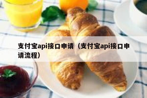 支付宝api接口申请（支付宝api接口申请流程） 第1张