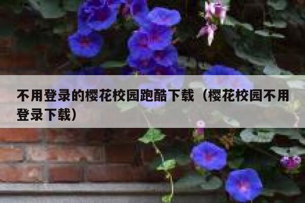 不用登录的樱花校园跑酷下载（樱花校园不用登录下载） 第1张