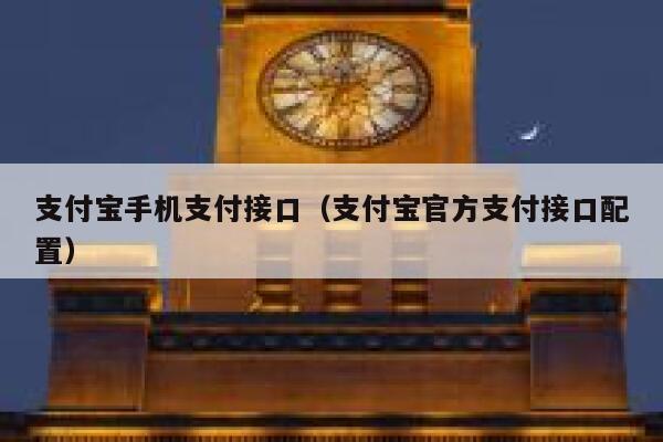 支付宝手机支付接口（支付宝官方支付接口配置） 第1张