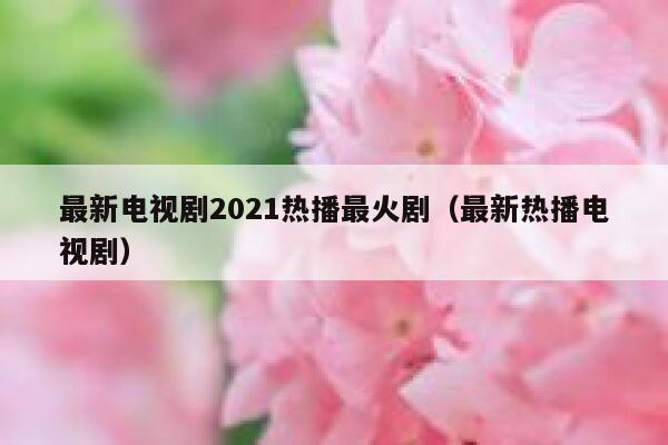 最新电视剧2021热播最火剧（最新热播电视剧） 第1张