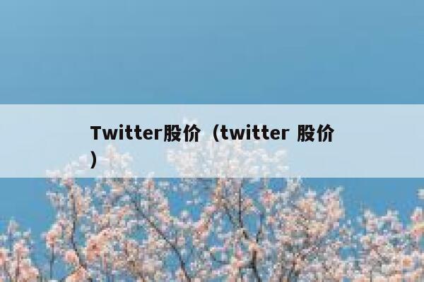 Twitter股价（twitter 股价） 第1张