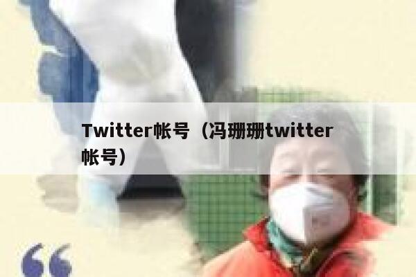 Twitter帐号（冯珊珊twitter帐号） 第1张