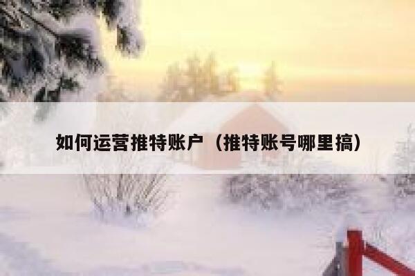 如何运营推特账户（推特账号哪里搞） 第1张