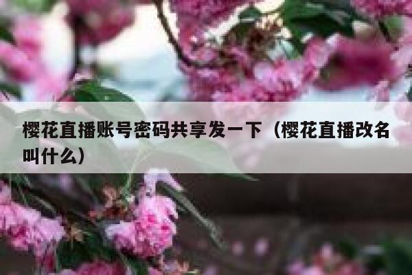 樱花直播账号密码共享发一下（樱花直播改名叫什么） 第1张