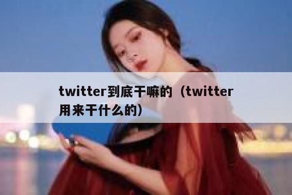 twitter到底干嘛的（twitter用来干什么的） 第1张