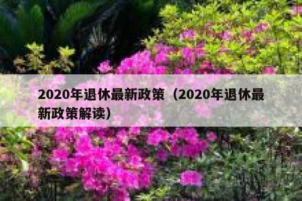 2020年退休最新政策（2020年退休最新政策解读） 第1张