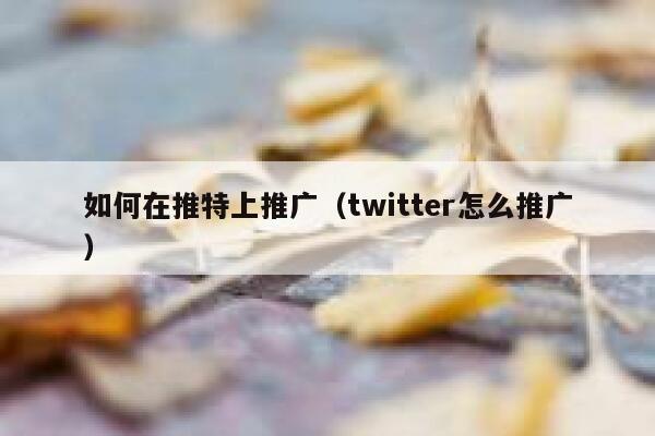 如何在推特上推广（twitter怎么推广） 第1张
