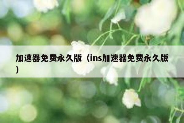 加速器免费永久版（ins加速器免费永久版） 第1张