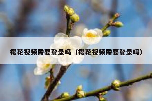 樱花视频需要登录吗（樱花视频需要登录吗） 第1张