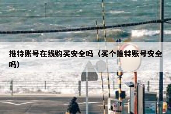 推特账号在线购买安全吗（买个推特账号安全吗） 第1张