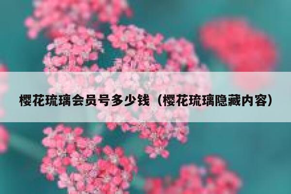 樱花琉璃会员号多少钱（樱花琉璃隐藏内容） 第1张