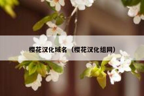 樱花汉化域名（樱花汉化组网） 第1张