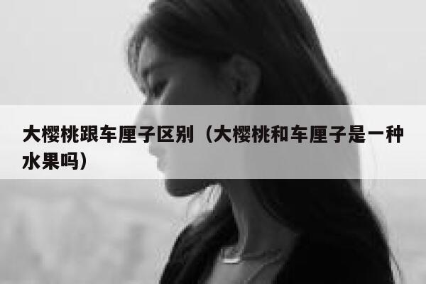 大樱桃跟车厘子区别（大樱桃和车厘子是一种水果吗） 第1张
