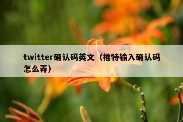 twitter确认码英文（推特输入确认码怎么弄） 第1张