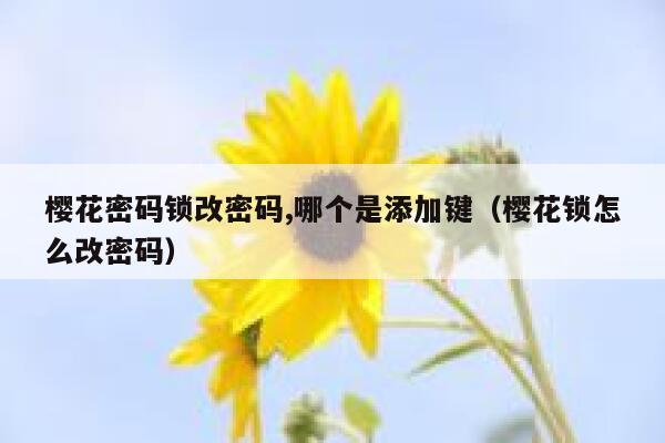 樱花密码锁改密码,哪个是添加键（樱花锁怎么改密码） 第1张