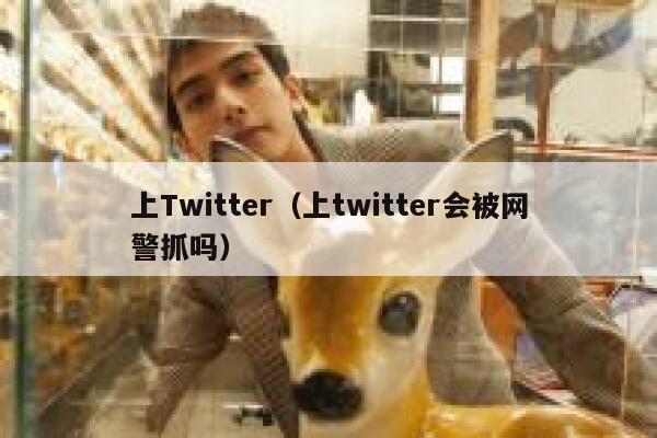 上Twitter（上twitter会被网警抓吗） 第1张