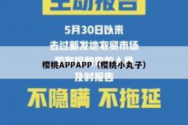 樱桃APPAPP（樱桃小丸子） 第1张