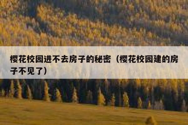樱花校园进不去房子的秘密（樱花校园建的房子不见了） 第1张
