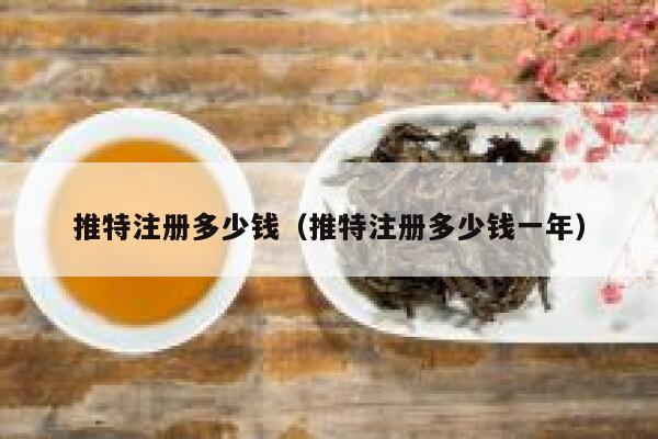 推特注册多少钱（推特注册多少钱一年） 第1张