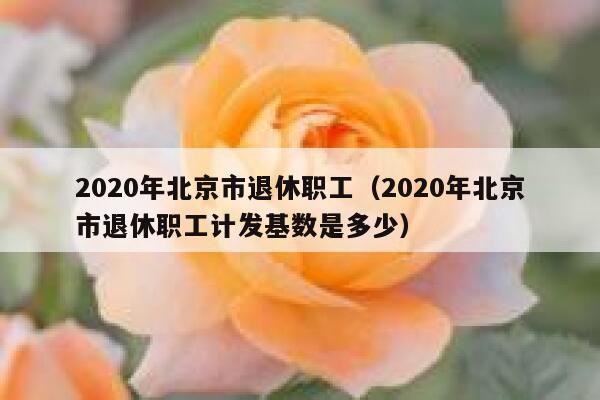 2020年北京市退休职工（2020年北京市退休职工计发基数是多少） 第1张