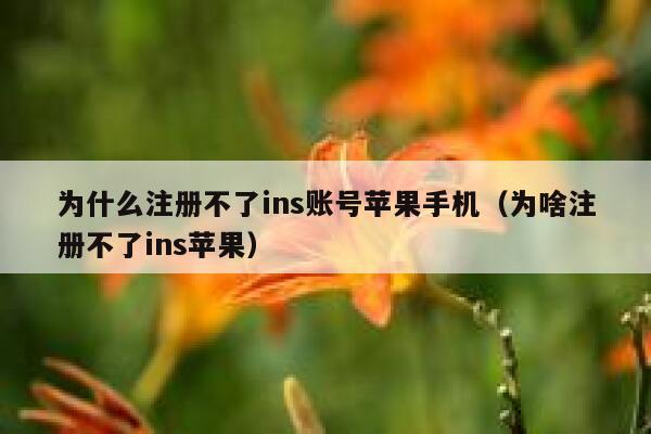 为什么注册不了ins账号苹果手机（为啥注册不了ins苹果） 第1张