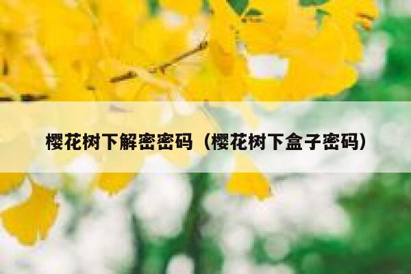 樱花树下解密密码（樱花树下盒子密码） 第1张