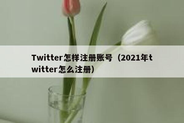 Twitter怎样注册账号（2021年twitter怎么注册） 第1张