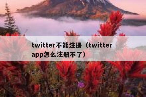 twitter不能注册（twitter app怎么注册不了） 第1张