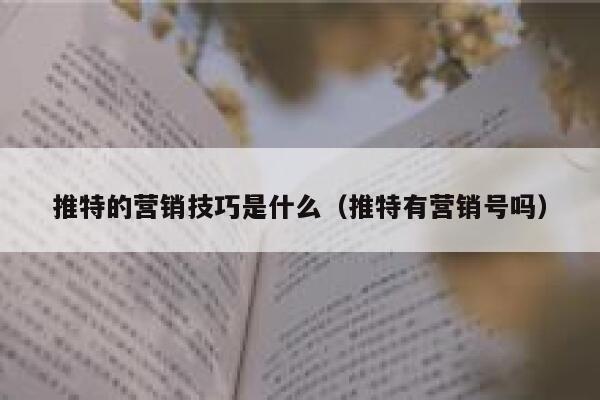 推特的营销技巧是什么（推特有营销号吗） 第1张