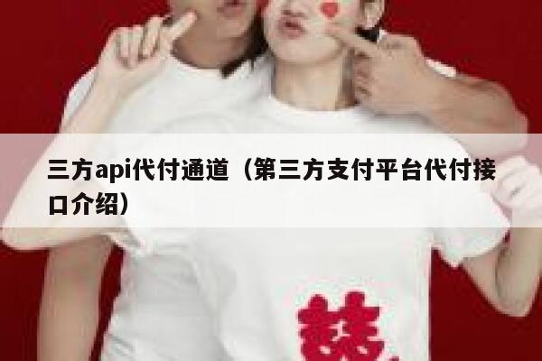三方api代付通道（第三方支付平台代付接口介绍） 第1张