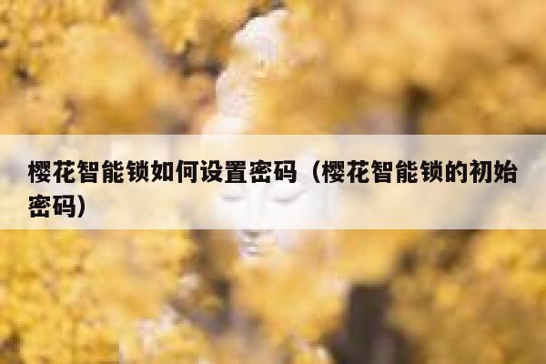 樱花智能锁如何设置密码（樱花智能锁的初始密码） 第1张