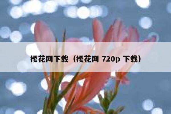 樱花网下载（樱花网 720p 下载） 第1张