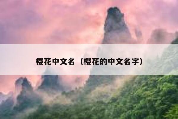 樱花中文名（樱花的中文名字） 第1张
