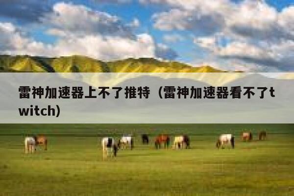 雷神加速器上不了推特（雷神加速器看不了twitch） 第1张