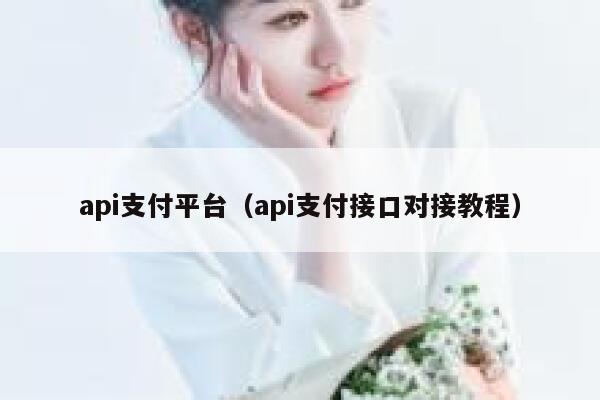 api支付平台（api支付接口对接教程） 第1张