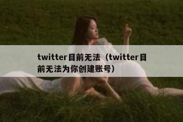 twitter目前无法（twitter目前无法为你创建账号） 第1张