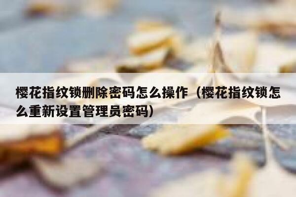 樱花指纹锁删除密码怎么操作（樱花指纹锁怎么重新设置管理员密码） 第1张
