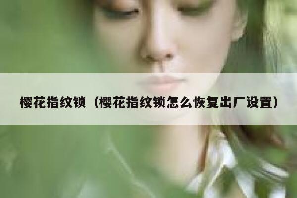 樱花指纹锁（樱花指纹锁怎么恢复出厂设置） 第1张
