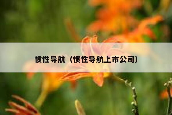 惯性导航（惯性导航上市公司） 第1张