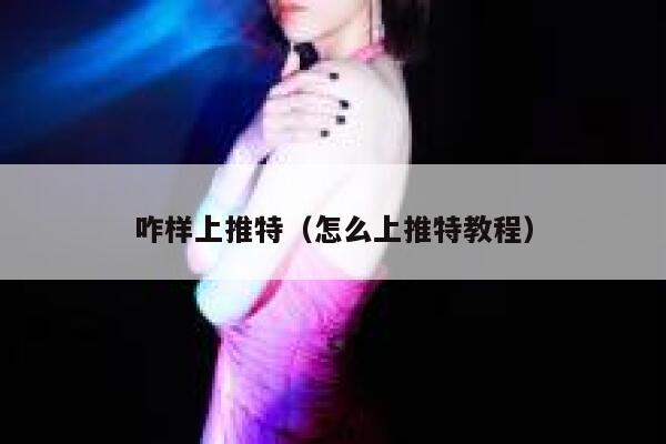 咋样上推特（怎么上推特教程） 第1张