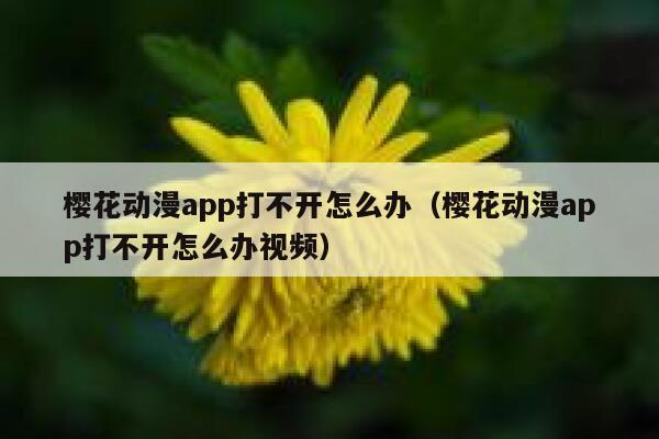 樱花动漫app打不开怎么办（樱花动漫app打不开怎么办视频） 第1张