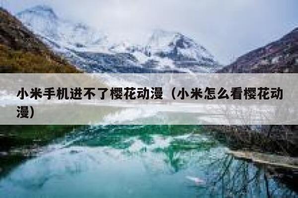小米手机进不了樱花动漫（小米怎么看樱花动漫） 第1张